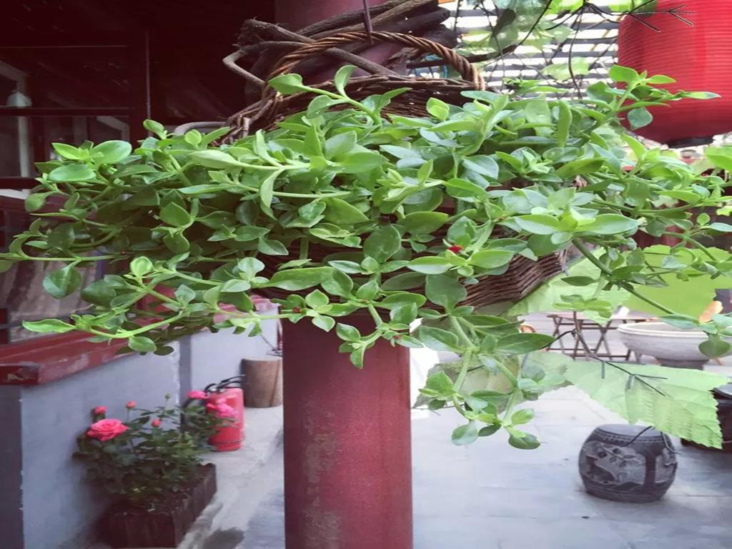 Three Legged Frog Hostel Bắc Kinh Ngoại thất bức ảnh