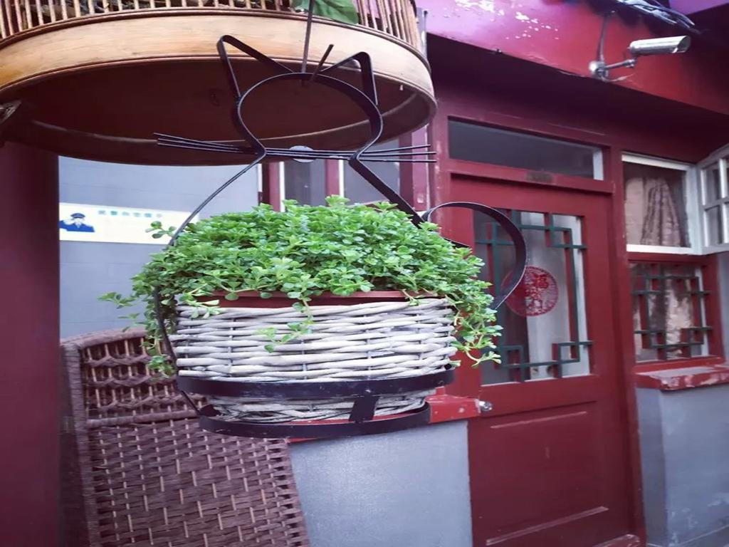 Three Legged Frog Hostel Bắc Kinh Ngoại thất bức ảnh